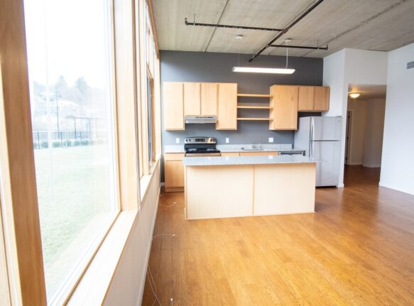 Cayuga Lofts 2x2 B Apartment Sample Kitchen/Living Area