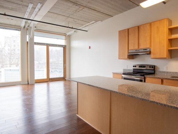 Cayuga Lofts 1x1 F Apartment Sample Kitchen/Living Area